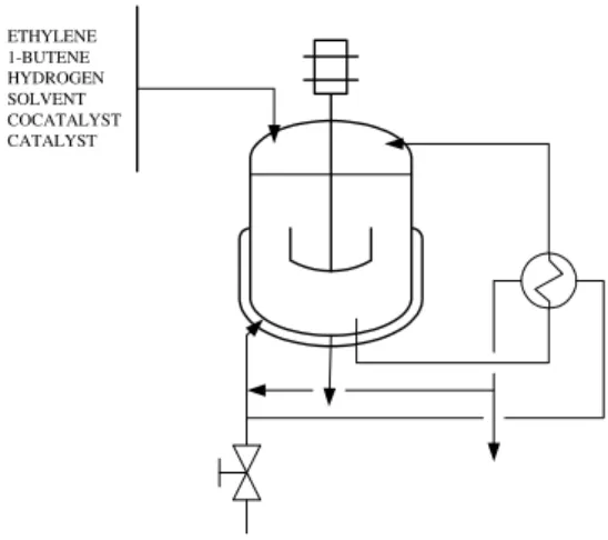 Figure 1: Schematic representation of the reactor.