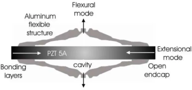 Figure 1: Schematic of the piezoelectric flextensional actuator (Marçal et al., 2007).
