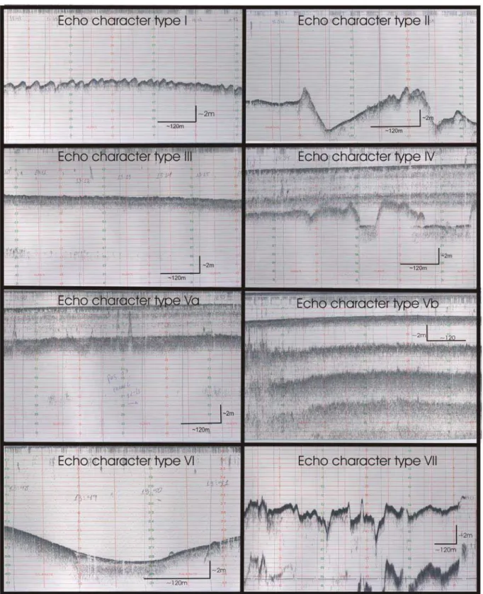 Figure 7 – The different types of echocaracter observed in Guanabara Bay.