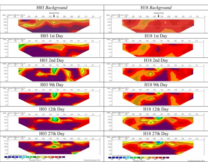 Figure 5 – Multitemporal inversion-model resistivity sections at Holanda station.