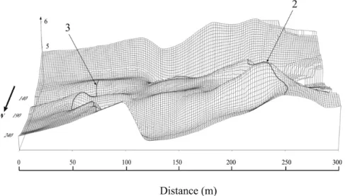 Figure 11 – 3D view of what would be the elevation of the dune if the sandy volume associated to the stratigraphic sub-unit S2b (Fig