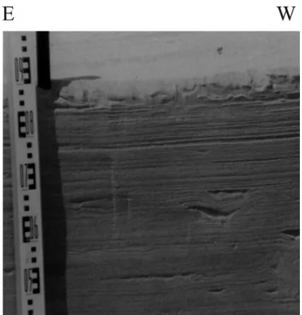 Figure 13 – Photograph of the trench excavated in the topset of the dune in position 200 m (Fig