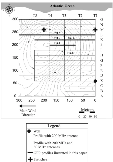 Figure 4 – Topographic map of the studied dune. Contours are given in meters. The lines along which GPR and topographic profiles were measured and trenches were excavated are also indicated.