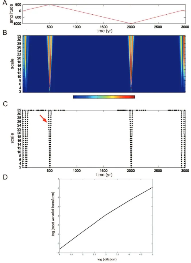 Figure 3 – Synthetic signal simulating two jerks (A), continuous wavelet transform (B), lines of maxima coefficients of the wavelet transform (C) and scale versus absolute value of the maxima coefficients of the wavelet transform, in log-log scale.
