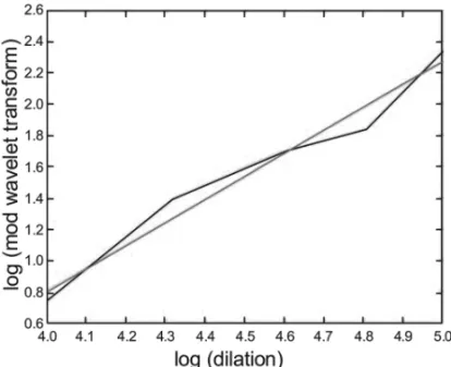 Figure 10 – Log-log plot of the maximum value of the coefficients along the wavelet line of the Y component at 1941.