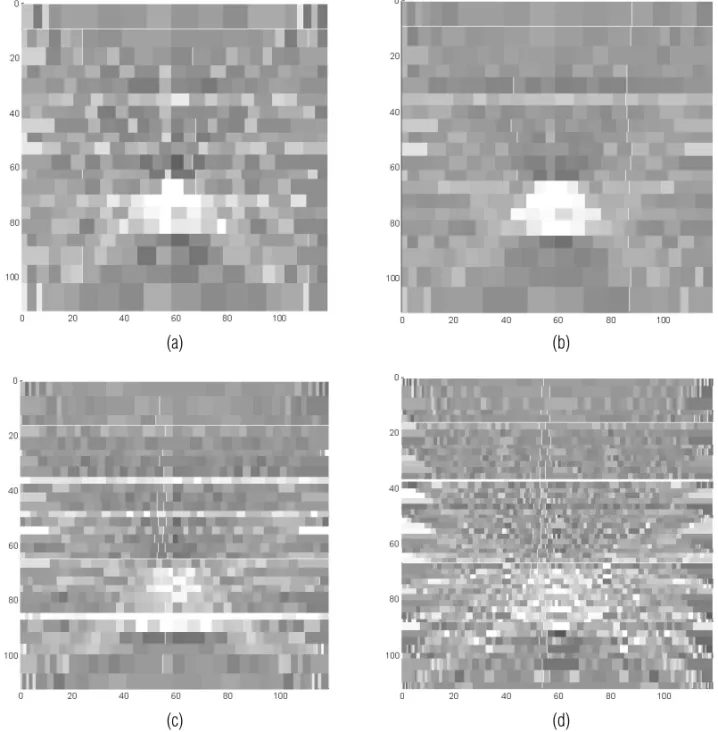Figure 7 – Inversion results from ip. (a) 20×20(119): ip from previous 119×119 uniform pixels; (b) 20×20(238) ip.; (c) 30×30(238) ip.; (d) 50×50(357) ip.