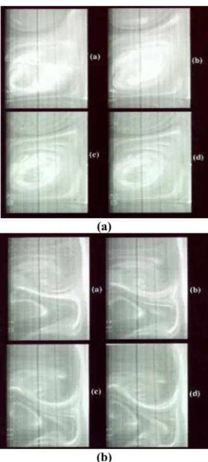 Figure 1. Collage of representative PHANTOMM images: (a) for Ta=0.21x10 5 (Re=150), in the (r,z) plane