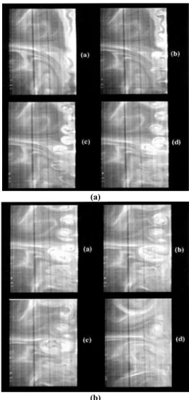 Figure 4. Collage of representative PHANTOMM images. One second of delay between successive pictures