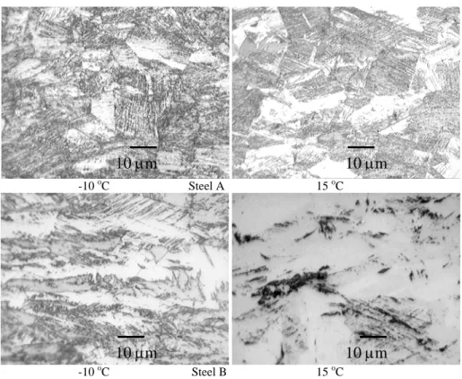 Figure 3. Microstructures of steels deformed to 0.3 at temperatures of 15  o C and –10  o C