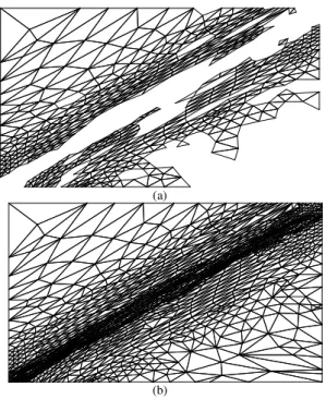 Figure 23. Triangular local remeshing. 