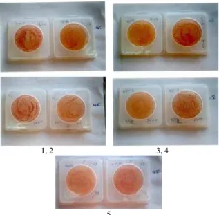 Figure 6.Colony growth in stored samples. 