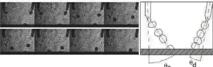 Figure  5.  Position  and  direction  of  the  gun  displacement  during  the  overhead trials