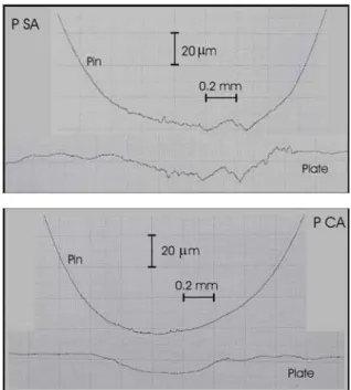 Figure 6. Surface profiles of tested specimens (P SA and P CA tests). 