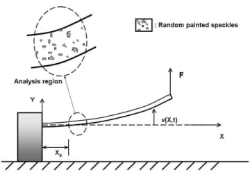 Figure  3  depicts  a  simple  sketch  of  the  experimental  set-up  illustrated in Fig