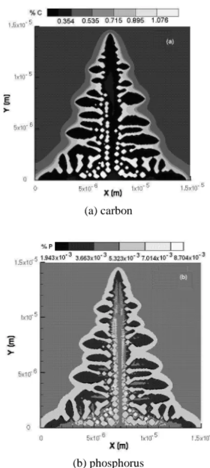 Figure  7  displays  results  obtained  with  a  microstructure  simulation  of  a  Fe-C-P  dendrite  with  0.5%  C  and  0.001%  P