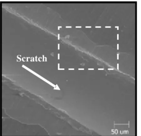 Figure 15. SEM images showing the delamination of the TiAlN layer at the  border of the scratch