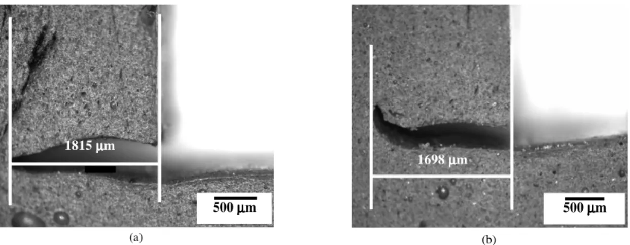 Figure  10.  Dimensions  of  the  burr  generated  during  test  14  were determined using the mold of polysulphide based mass (burr reproduction technique):  