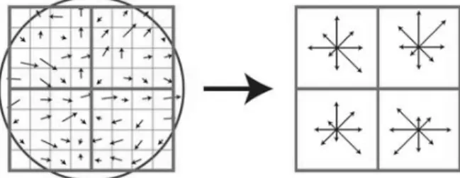 Figure 2. Example of SIFT descriptor with a total of 32 bins (Lowe 2004). 