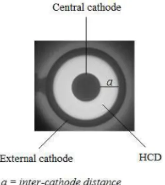 Figure 1 consists of an “in situ” view of the plant in use showing  the  hollow  cathode  discharge  and  both  the  cathodes