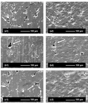 Figure  6  shows  the  Ra  and  Rz  roughness  measurements  of  the  internal  surfaces  as  a  function  of  the  sintering  time,  taken  to  evaluate  the  surface  changes  as  a  consequence  of  the  sputtering  effects on the external cathodes
