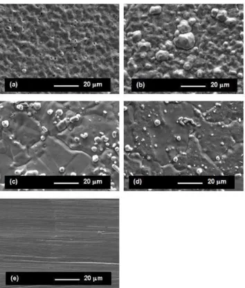 Figure  11.  Surface  finish  aspects  of  the  internal  surface  of  the  external  cathodes processed in HCD for pressures of: a) 133 Pa (1 Torr); b) 400 Pa  (3  Torr);  c)  800  Pa  (6  Torr);  d)  1200  Pa  (9  Torr);  and  e)  in  the   non-processed