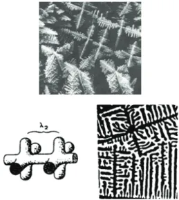 Figure 1. Secondary dendrite arm spacing. 