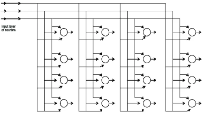 Figure 1. Bi-dimensional grid of neurons (Haykin, 1996). 