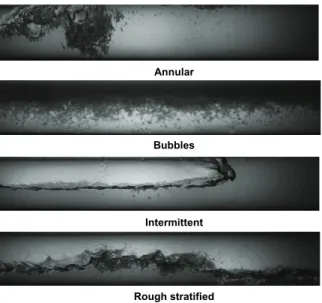 Table 2. Neurons identifying the flow regimes in gas-liquid case. 