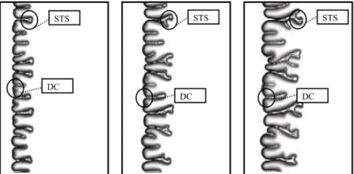 Figure 1. Concentration contours for a time sequence at the simulation  beginning showing double coalescence (DC) and single-sided tip-splitting  (STS) fingering mechanisms –  MR  = exp(6.0),  Pe G  = 1000 and  A  = 4