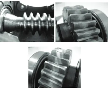 Figure 10. Inner elements of the reducer after the first test (after four weeks). 