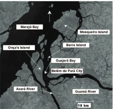 Figure 1. Satellite image showing the location of the Guajará Bay.