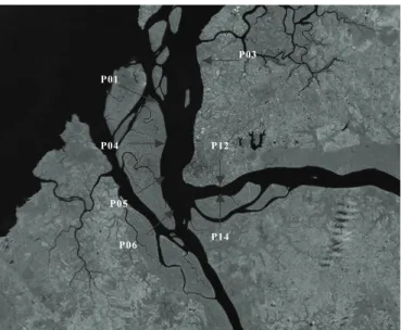 Figure 2. Scale positions in Guajará Bay.