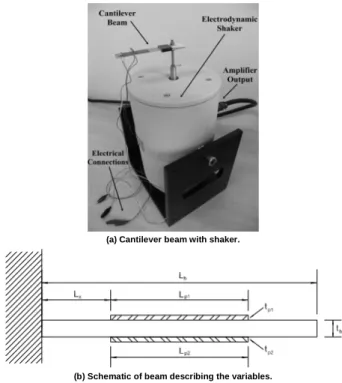 Figure  1.  Cantilever  beam  attached  to  the  shaker  model  TJ  50  TMC  and  dimensions of beam when one end is clamped