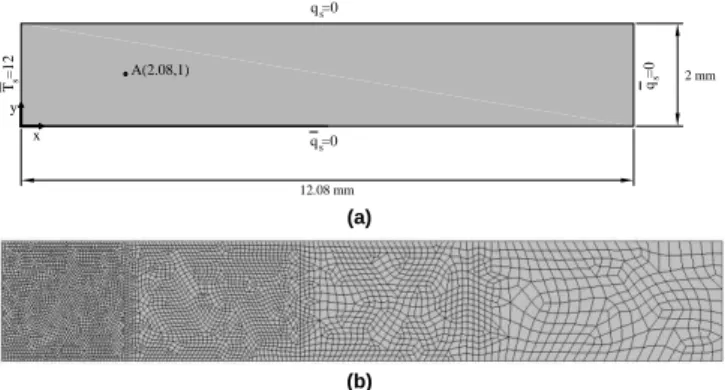 Figure  1.  Homogeneous  biological  tissue  body:  (a)  geometry  and  boundary conditions; (b) domain discretization