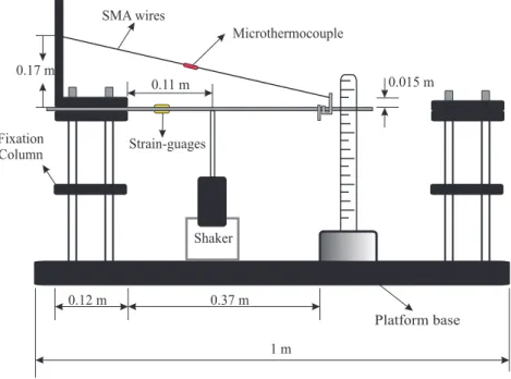 Figure 1. Schematic diagram of the developed experimental set-up. 