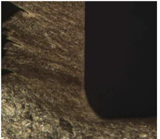 Figure 3. Photomicrograph  of  a new  cutting insert edge used  for once  at  100 x magnification (r = 100 µm)