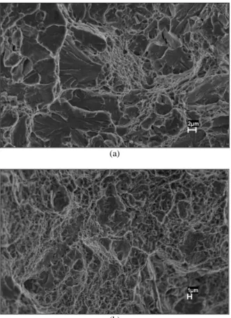 Figure  8.  Micrographs  of  the  fractured  surfaces  after  tensile tests: (a)  as- as-welded and (b) as-welded and tempered at 200°C
