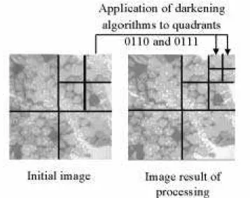 Figure 1 presents an image (on the left) containing                                                           