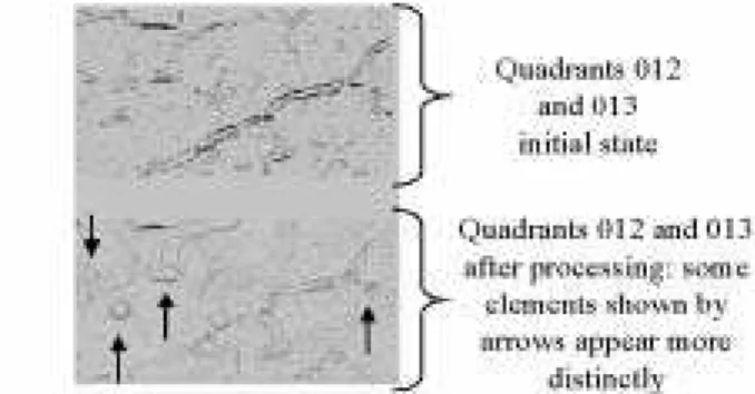Figure 4: Objects detection after area dilatation in sharp- sharp-ened images of figure 3.