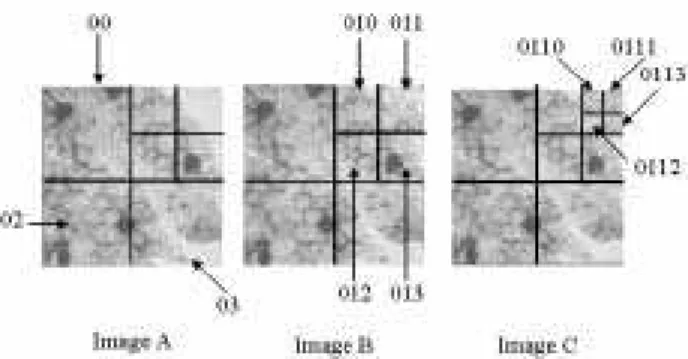 Figure 13: An example of three processed images.