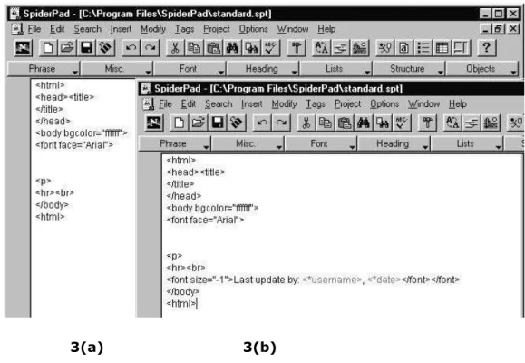 Figure 3 - (a) Template containing only constant tags;