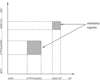 Figure 2. Local alignment of two 400K se- se-quences (s and t), that produced two similarity regions ✆✞✝✠✟☛✡☞✆✍✌ ✆✏✎✑✎ ✝✠✒✔✓✖✕✗✌ ✆✏✎✑✎ ✘ ✒✚✙ ✕ ✛✜✜✢ ✜ ✜✣ ✆✞✝☞✟✤✡✔✆✥✌ ✆✏✎✑✎ ✝✠✒✔✓✖✕✗✌ ✆✏✎✑✎ ✘ ✟ ✆ ✒✚✙ ✟ ✡ ✓✆✞✝☞✟✤✡☞✆✍✌✆✏✎✑✎✝✟✛✆✒✔✓✦✕✗✌✆✏✎✑✎✘✫✟✖✆✒✚✙☎★✧✡✚✝✩✓✘✙✪✓ ✆