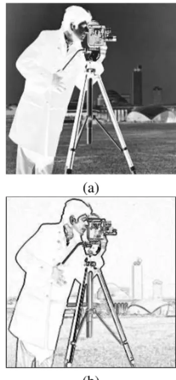 Figure 2. Hue - (a) Original Image. (b) Gradient.