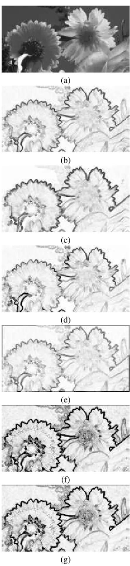 Figure 6. Segmentation Results - Flowers: (a) Set of Markers. (b-e) Gradient I to IV 