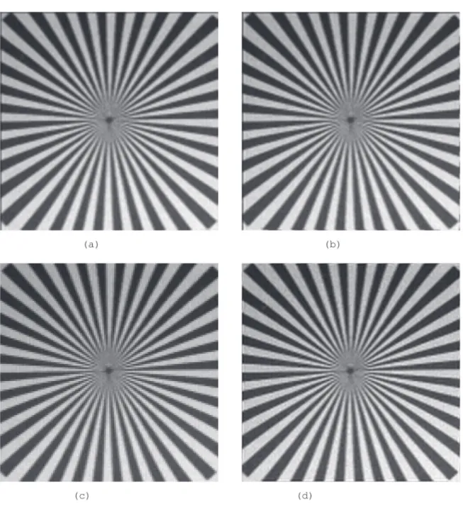 Figure 14:  Interpolation Results of  Test Pattern Image. (a) Bicubic. MSE=315, a e =0.47