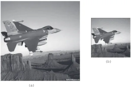 Figure 10:  Plane  Image: (a) Original Image (256×256).  (b) LR image.  (128×128). SNR=25 dB.