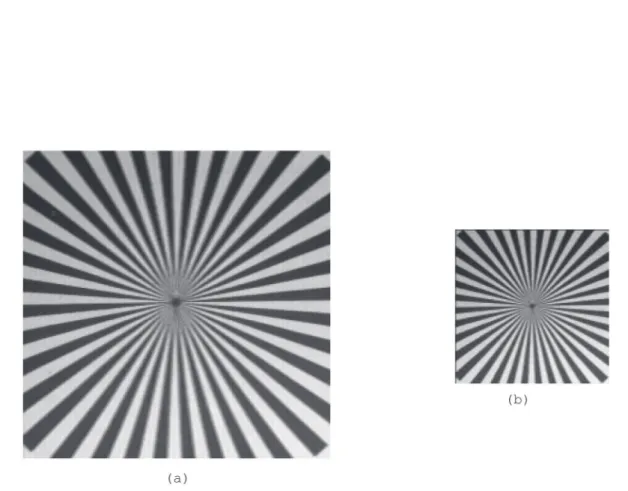Figure 13: Test Pattern  Image. (a) Original Image (128×128). (b) LR image.  (64×64). SNR=25 dB.