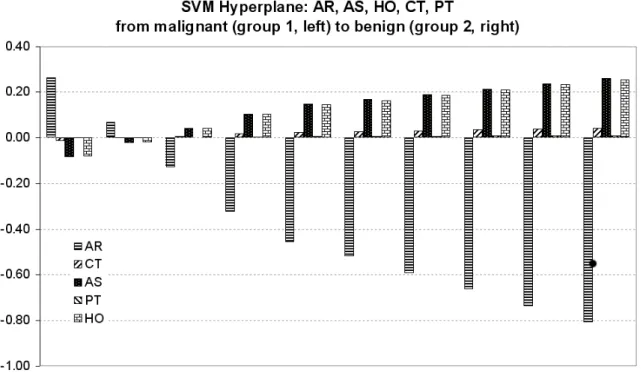 Figure 8. Reconstruction of the discriminant features captured by the SVM statistical learning approach on the five-step framework
