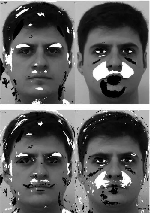 Figure 4. MLDA (top) and SVM (bottom) most discriminant pixels: (left) comparing the gender intensity changes; (right) comparing the expression intensity changes.