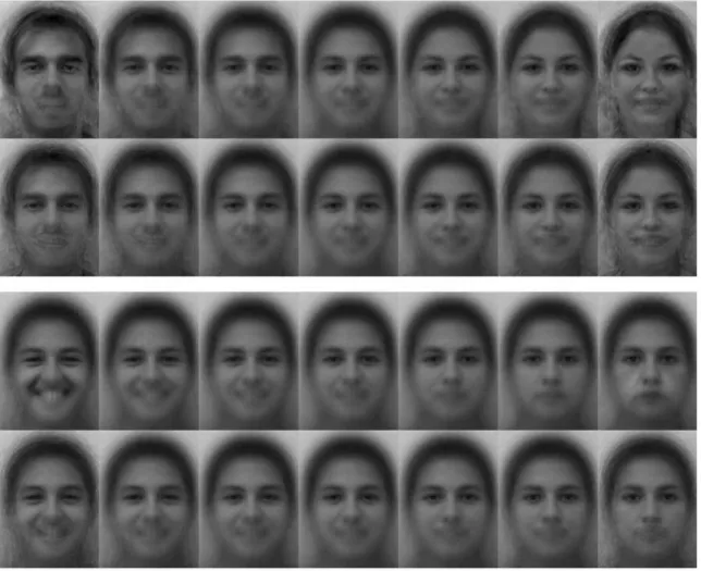 Figure 5. Reconstruction of the discriminant features captured by the MLDA and SVM statistical learning approaches